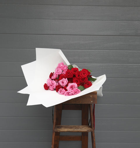 The Siren prospector studio