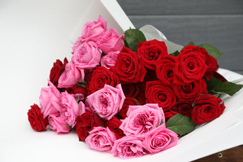 The Siren prospector studio