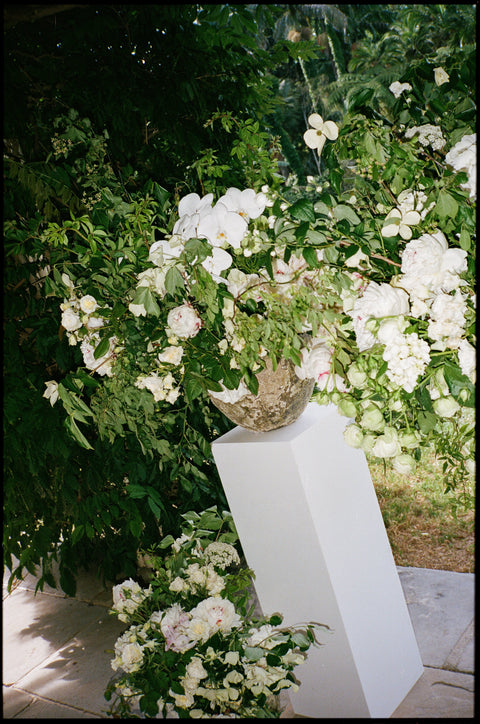 Kiran & Ryan’s Garden Wedding at Vaucluse House